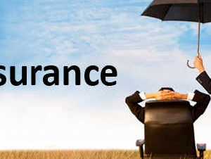 Connect Insurance Consultant